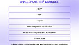 13% с зарплаты: что это за налог в Фармленд