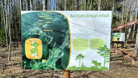 Чем отличается запрет от предписания в Фармленд
