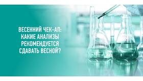 Что такое чек-анализ