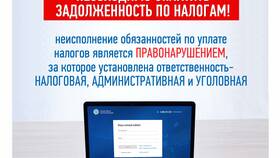 Что такое отрицательное сальдо по налогам в Фармленд