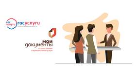 Что такое предоставление государственных услуг в Фармленд