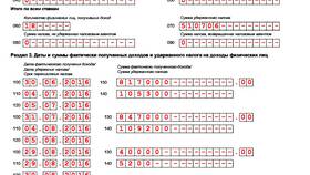 Что значит отчет 6-НДФЛ в Фармленд