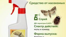 Эффективные методы борьбы с молью в Фармленд