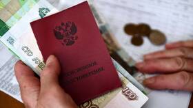 Как начисляют субсидии пенсионерам в Фармленд