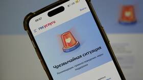 Как подать заявку на волонтерство через Госуслуги в Фармленд