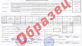 Как правильно заполнять реквизиты в документах в Фармленд