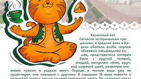 Как вести стикер в Фармленд