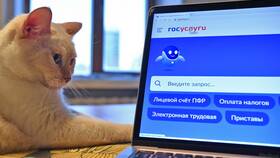Как запросить выписку из ЕГРН через Госуслуги в Фармленд