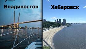 Почему во Владивостоке нет Золотого Яблока в Фармленд