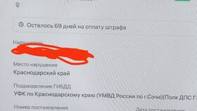 Штраф ГИБДД 4500 рублей: за что могут выписать в Фармленд