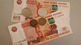Социальная выплата 13 987 рублей: что это в Фармленд