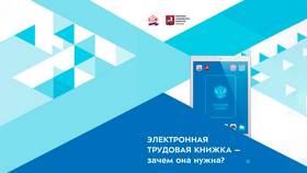 Зачем работодателю выписка из электронной трудовой книжки в Фармленд